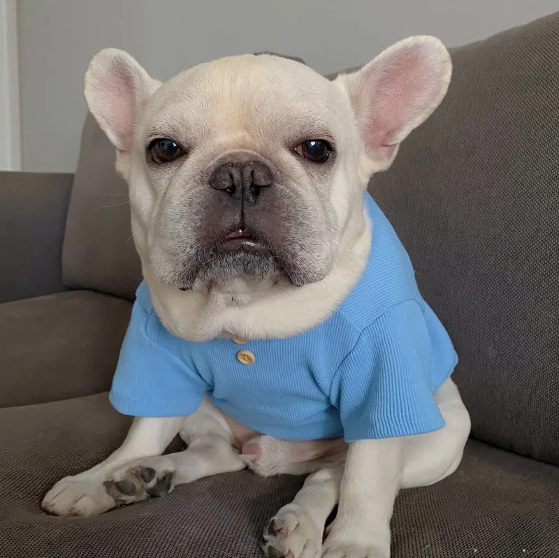 

Рубашка для домашних животных, кошек, собак, пижамы, осенне-зимняя одежда для собак, одежда, одежда для Йорка, померанского пуделя, шнауцера, ...