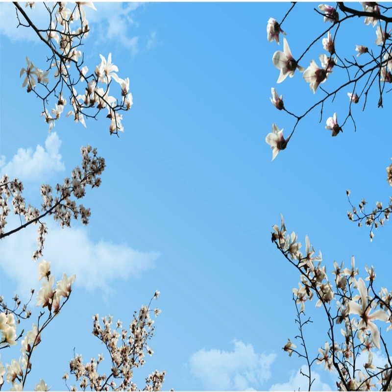 Пользовательские 3D фото обои потолки голубое небо и белые облака гостиная