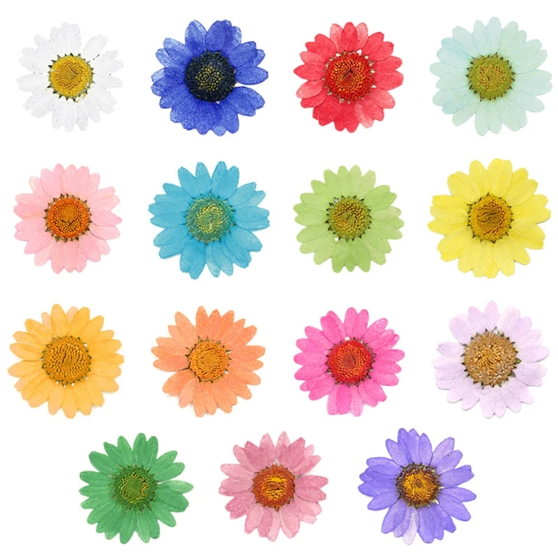 

100Pcs Real Natural Dried Pressed Flowers White Daisy Pressed Flower for Resin Jewelry Nail Stickers Makeup Art Crafts