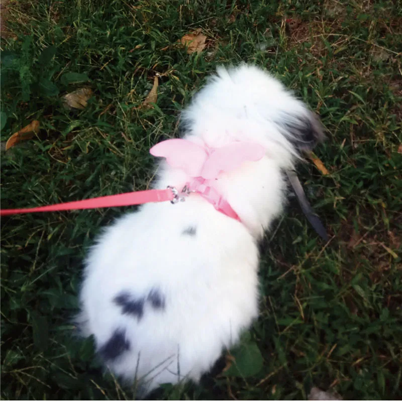 

1Pcs Guinea Pig Traction Rope Rabbit Special Rabbit Walking Vest Type Chinchilla Guinea Pig Mink Rabbit Traction Rope