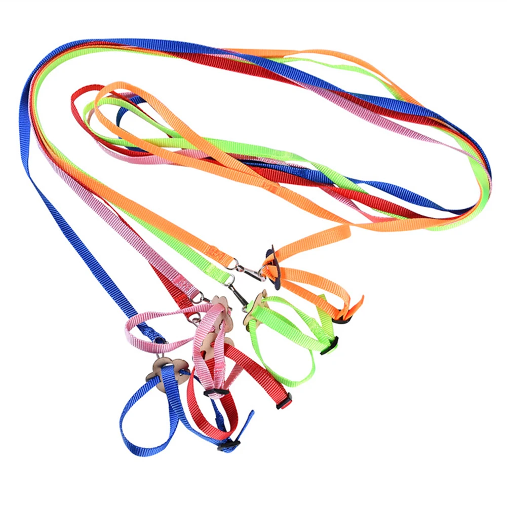 

Pet Traction Rope Parrot Traction Rope Bird Flying Out Training Traction Rope Hamster Tortoise Lizard Traction Rope Harness