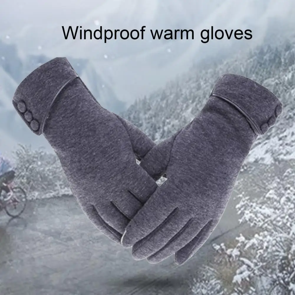 

Женские перчатки с плюшевой подкладкой, 1 пара, теплые осенне-зимние перчатки для сенсорных экранов, ветрозащитные варежки для вождения, кат...