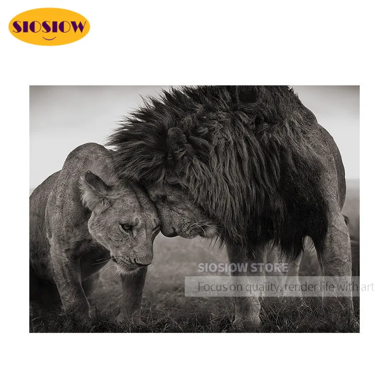 Львы Животные 5D DIY алмазная живопись полный дрель квадратные Даймонд мозаика