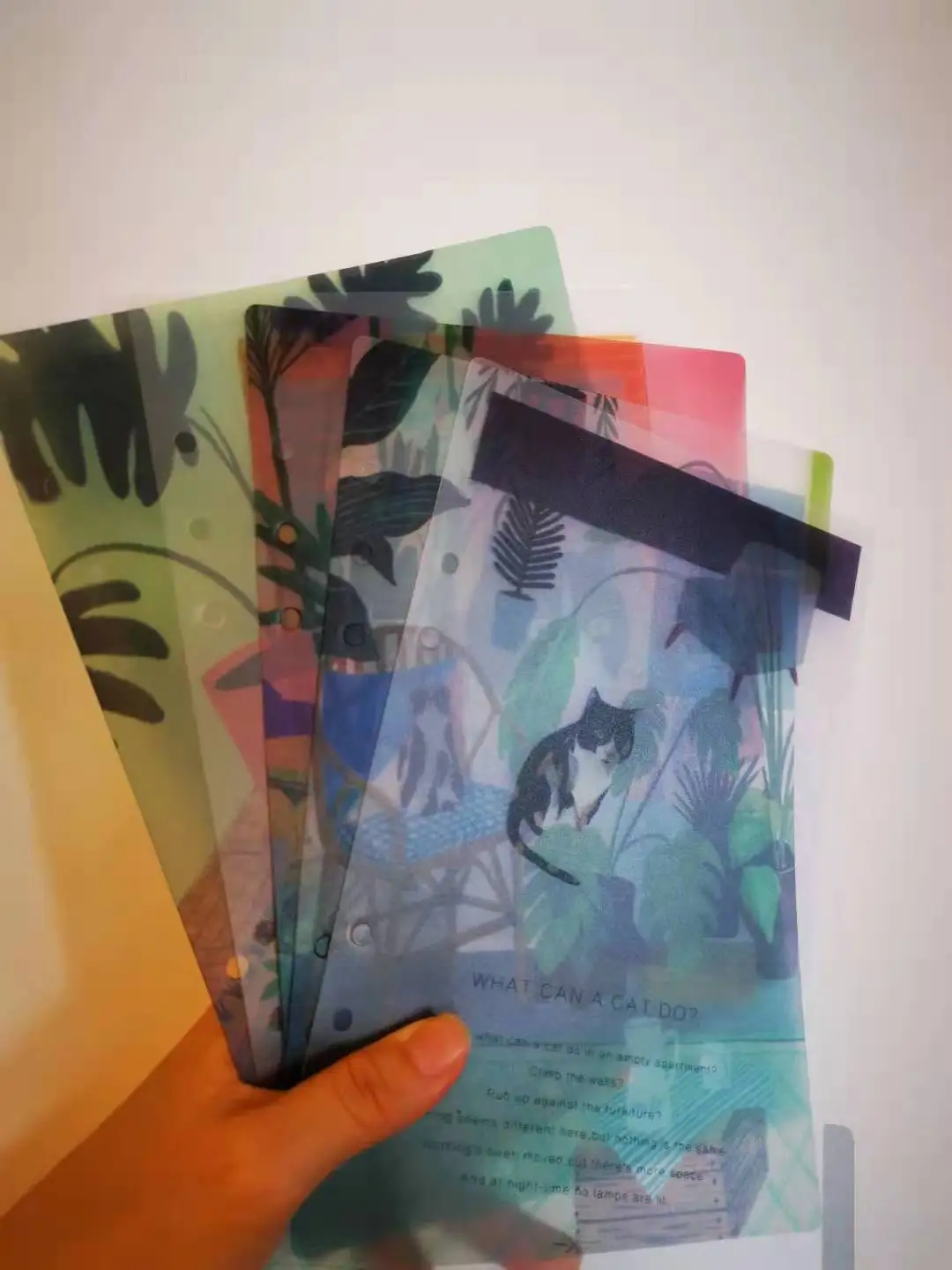 

Бумажный разделитель Coliky 6 колец