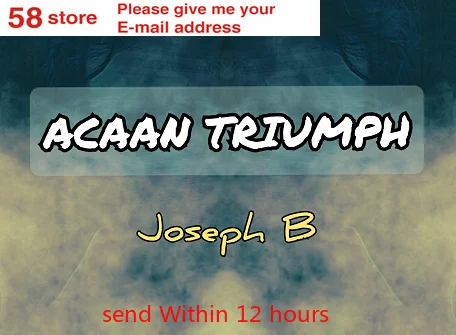

2020 Acaan Triumph Fooler by Joseph B