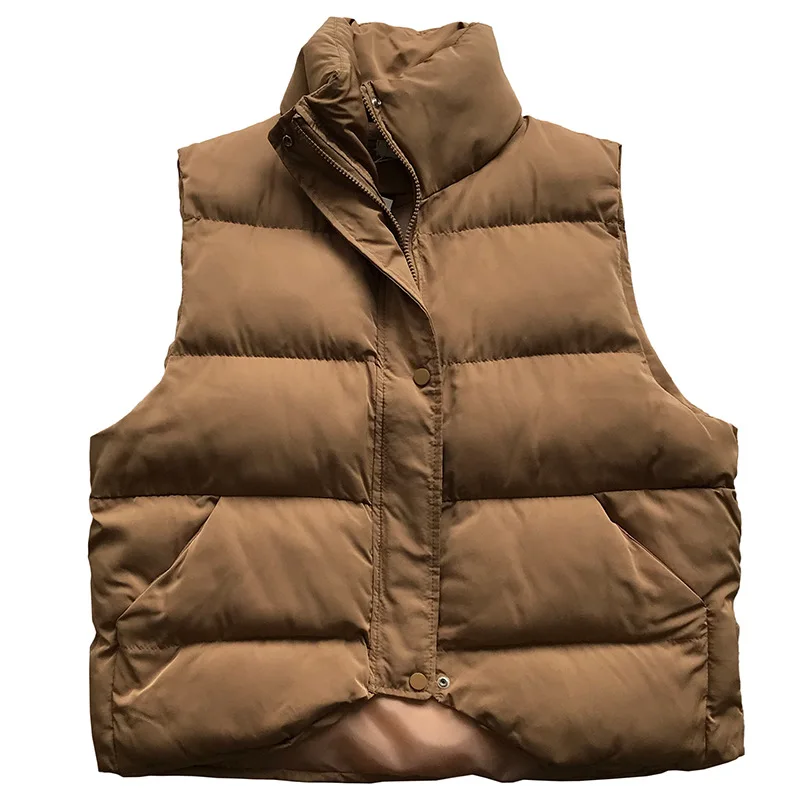 2019 зимний хлопковый жилет Короткие повседневные свободные пуховые пальто для