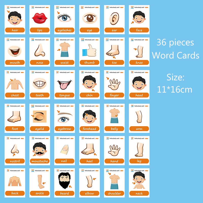 Карта английского языка для обучения 36 шт./упак. | Игрушки и хобби