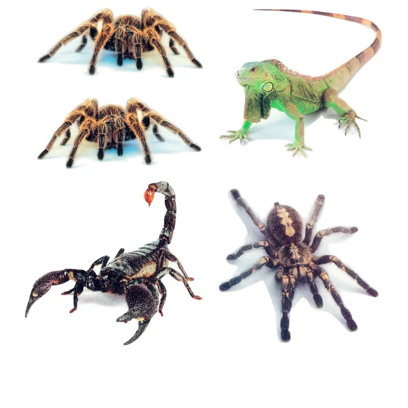 3D наклейка на автомобиль Паук с животными яркий Скорпион ящерица забавная s