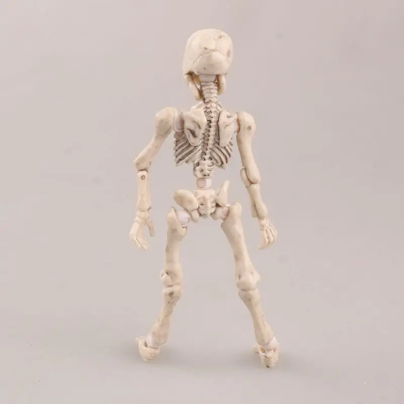 

Color box Pose Skeleton Mode PVC Figure Toy Human Child Dog Skeleton Body Chan Body Kun