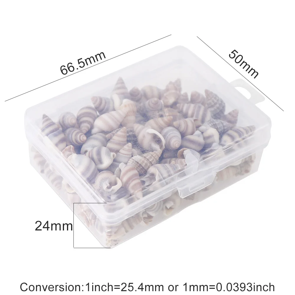 1 Box Pattern 4 Styles Nature Beach Fashion Sea Shells For DIY Caft Decor Jewelery Craft Accessories Holes Shell Decoration