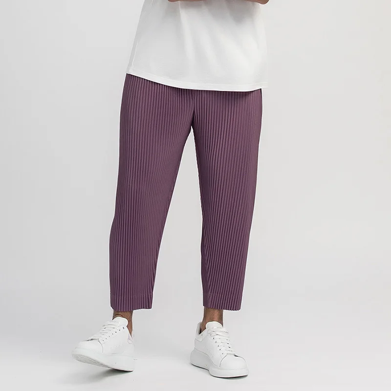 

IEFB Men's Wear Purple Pleated Trousers Japanese Stretch Fabric Thin Style Loose Drawstring Casual Ankle-length Pants 9Y3050