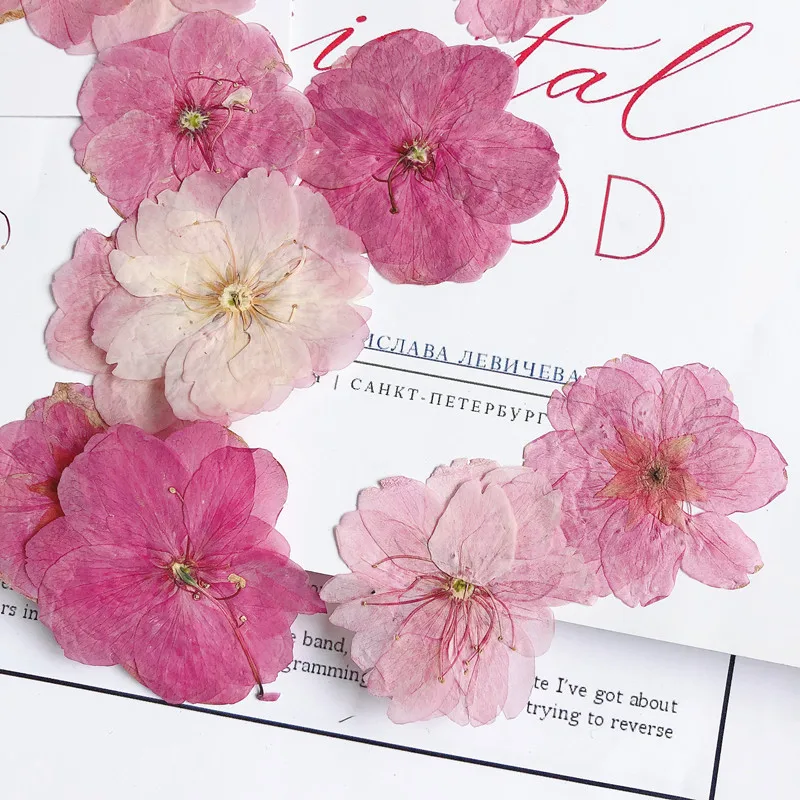 12 шт. вишневые цветы натуральные сухие цветочные растения зеркальные фоторамки