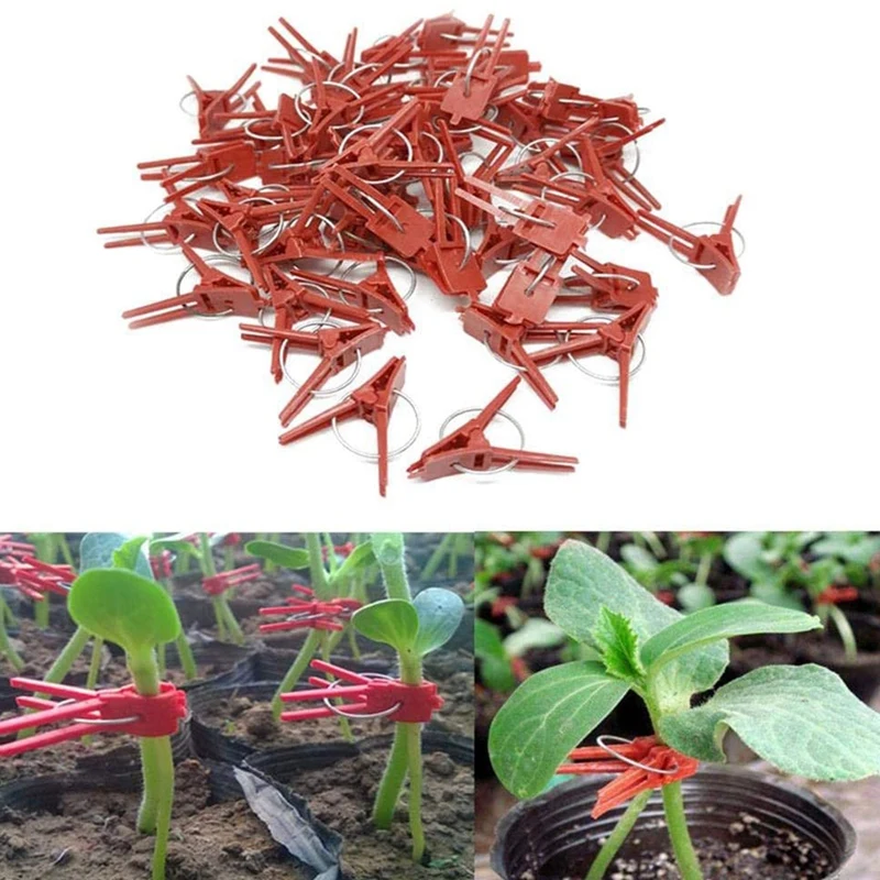 200 шт садовые растения трансплантат зажимы лозы зажим для овощей завод