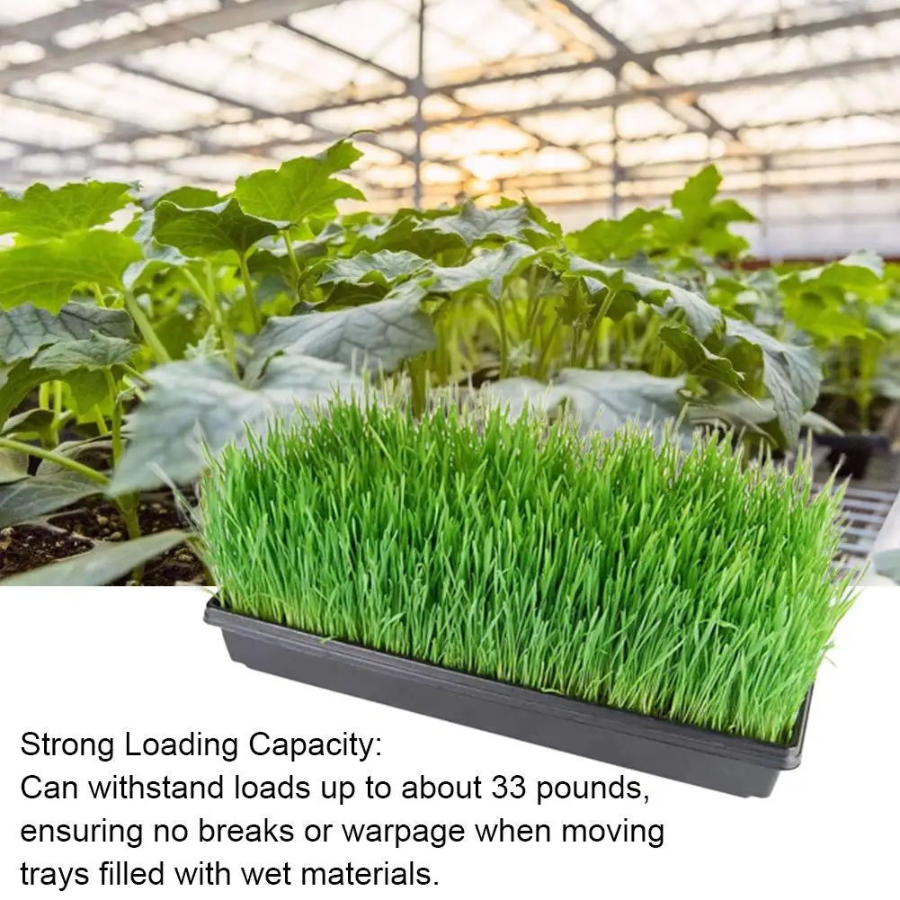 Лоток для выращивания растений питомник поднос семян стартер рассады овощей