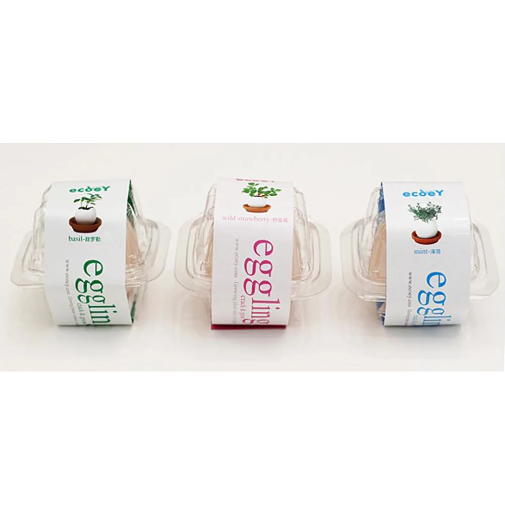 

3pcs DIY Mini Egg Luck Plant Potted Desk Home Decor Child's Plant Handmade Gift