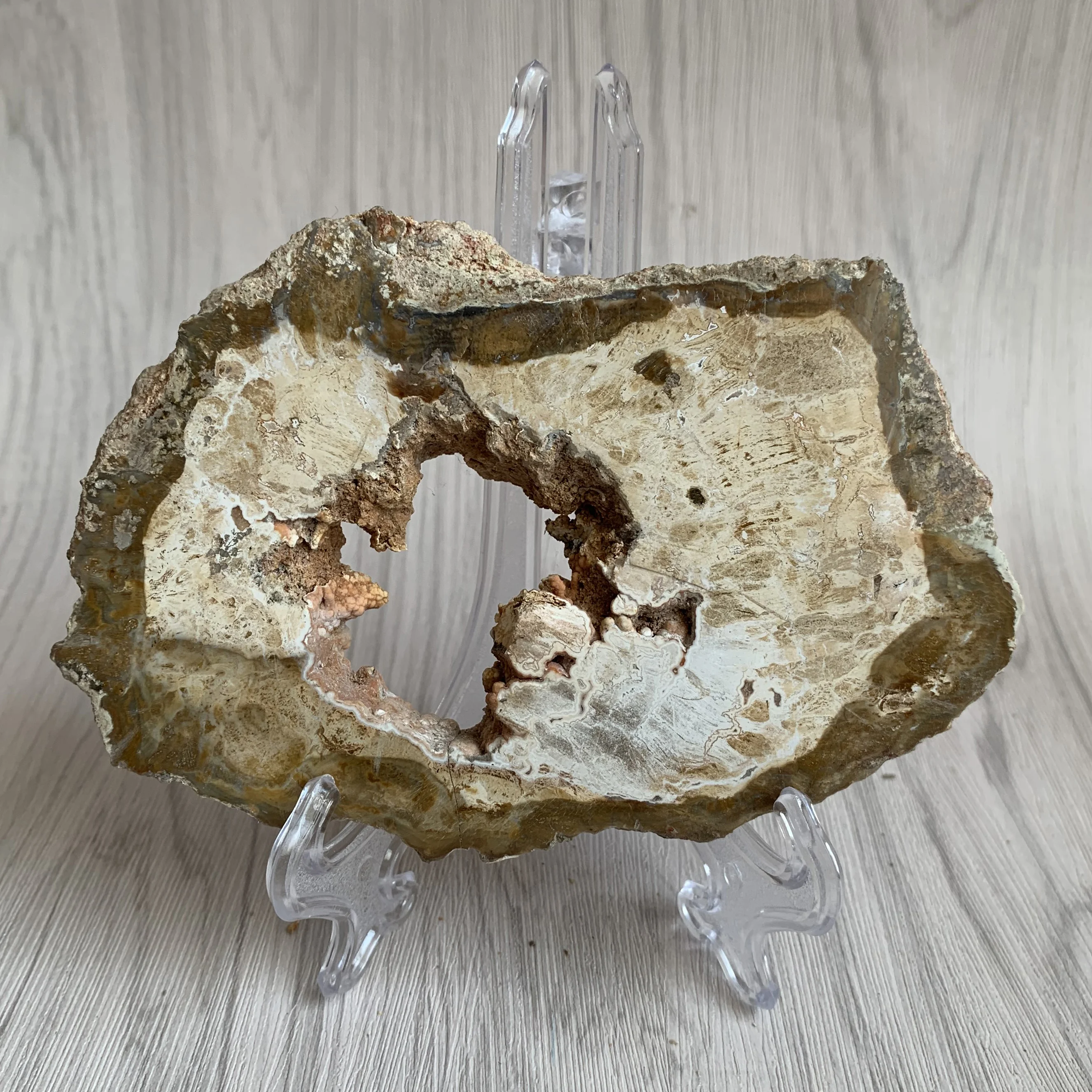 

242 г, плиточная деревянная плитка, великолепный полированный образец, блюдо для украшения дома, Восстанавливающее Средство B020