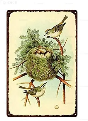 

Metal Tin Sign (Take Care of Children's Birds) High Quality Indoor Home Bar Cafe Rectangular Wall Decoration Poster Metal Plaque