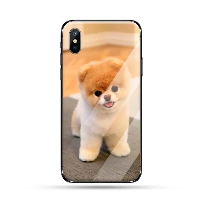 

Pomeranian Lovely cute Cute coque cover Phone Case Tempered glass For iphone 5C 6 6S 7 8 plus X XS XR 11 PRO MAX