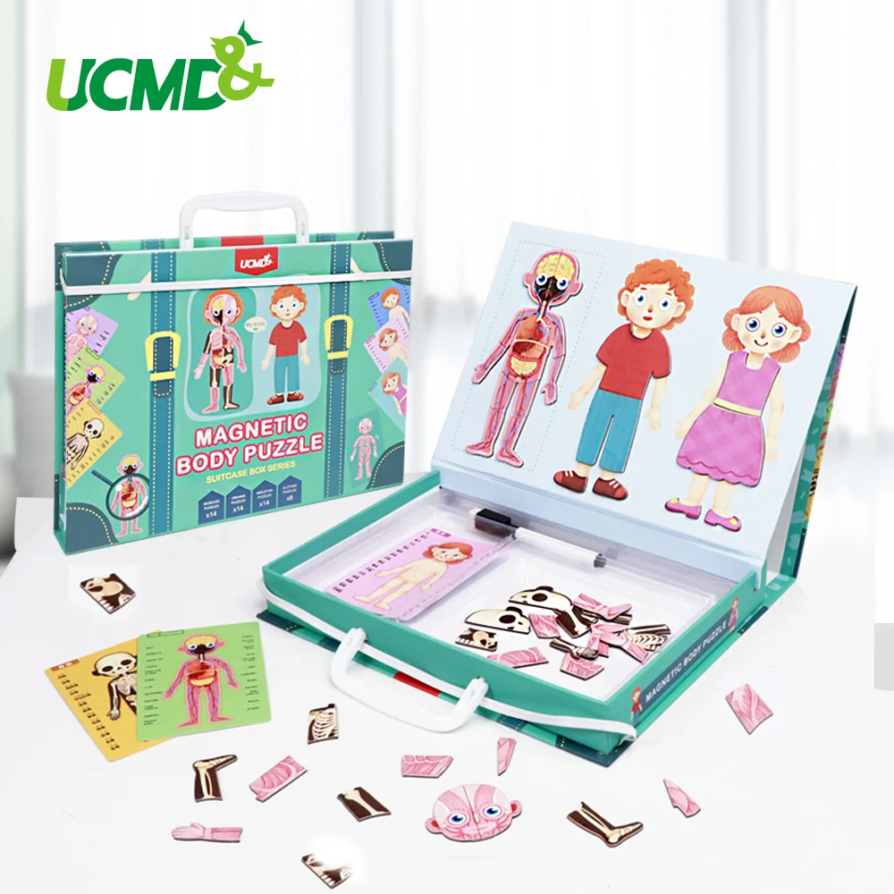 Магнитная 3D головоломка для человеческого тела конструкция игрушка Когнитивная