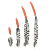 natural lady amherst pheasant feathers feathers for crafts 5 30cm2 12 feathers jewelry making carnaval assesoires plumas