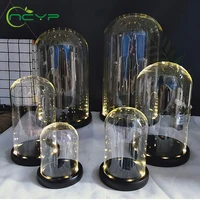 NCYP выдувное украшение для дома, вечная фотообложка с теплым белым цветом, украшение для пыли, черная основа