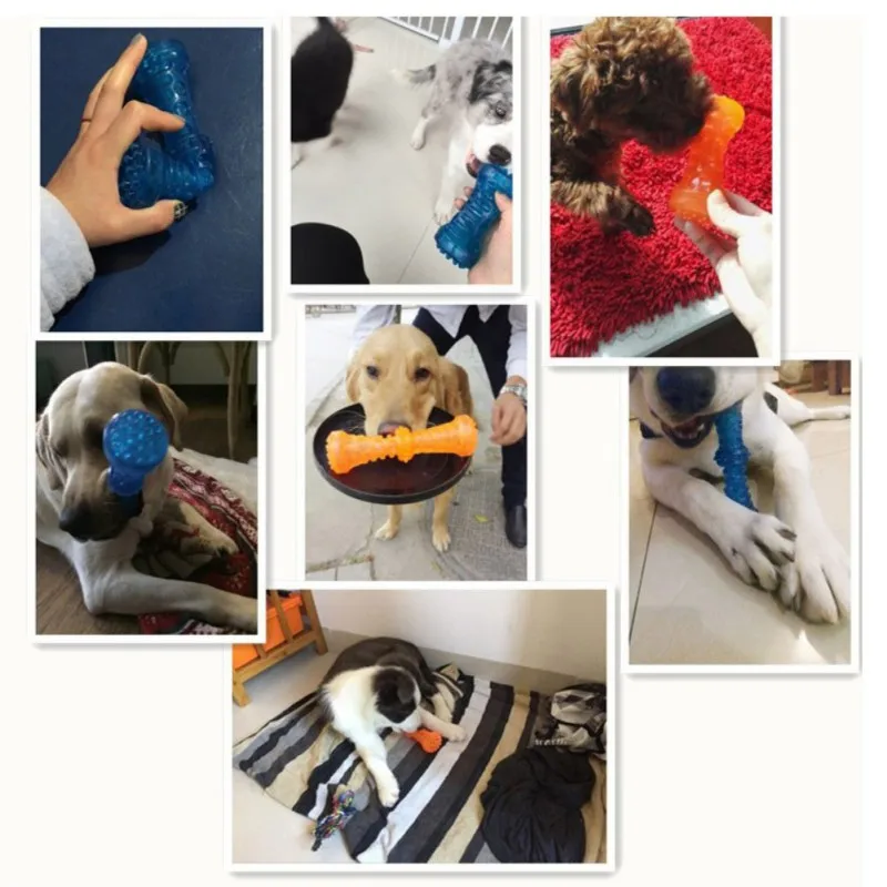 Креативная собака сильная укуса-упорные игрушки вокальная кость молярная