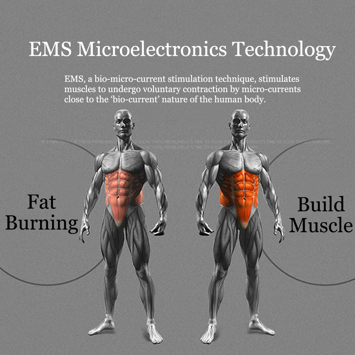 LCD Electric Muscle Stimulator Rechargable Abs Massage Vibrators Training Gear Body Relaxation EMS Trainer Equipment Set | Спорт и