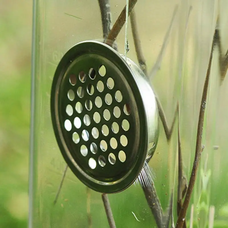 Прозрачная акриловая коробка для кормления рептилий зернистая молитвенная