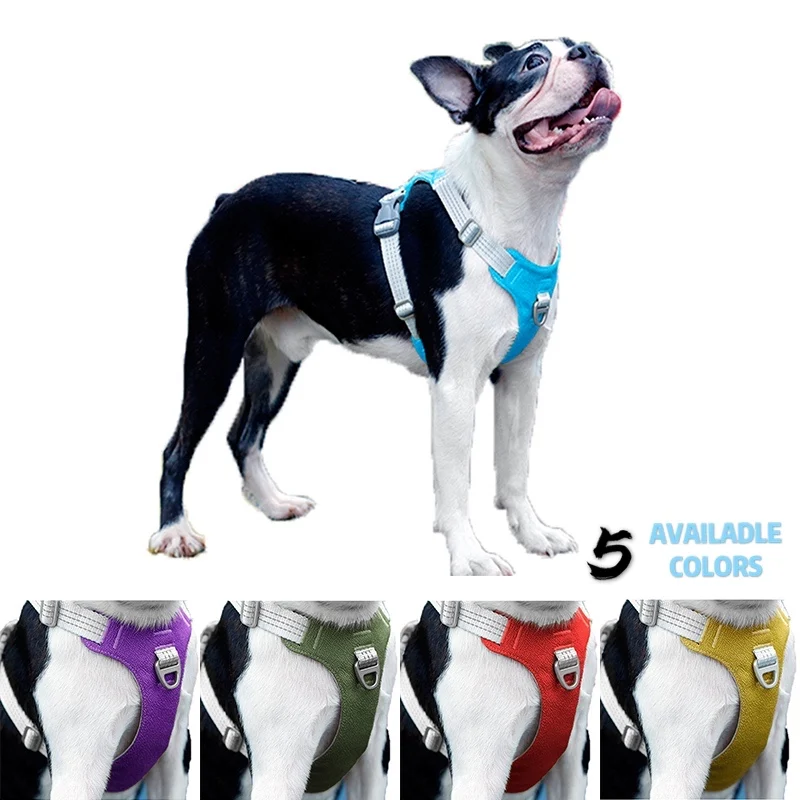 

Large Medium Dogs Luminous Collar Accessories Goods for Animals Leash French Bulldog Training Strong Breathable No Pull Harness