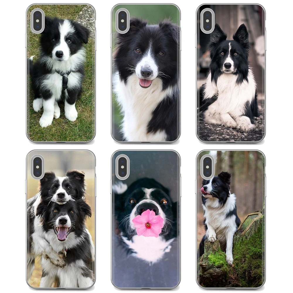 Мягкий чехол с рисунком собаки Border Collie для iPhone iPod Touch 11 12 Pro 4 детской модели 5 5C 6 6S 7 8