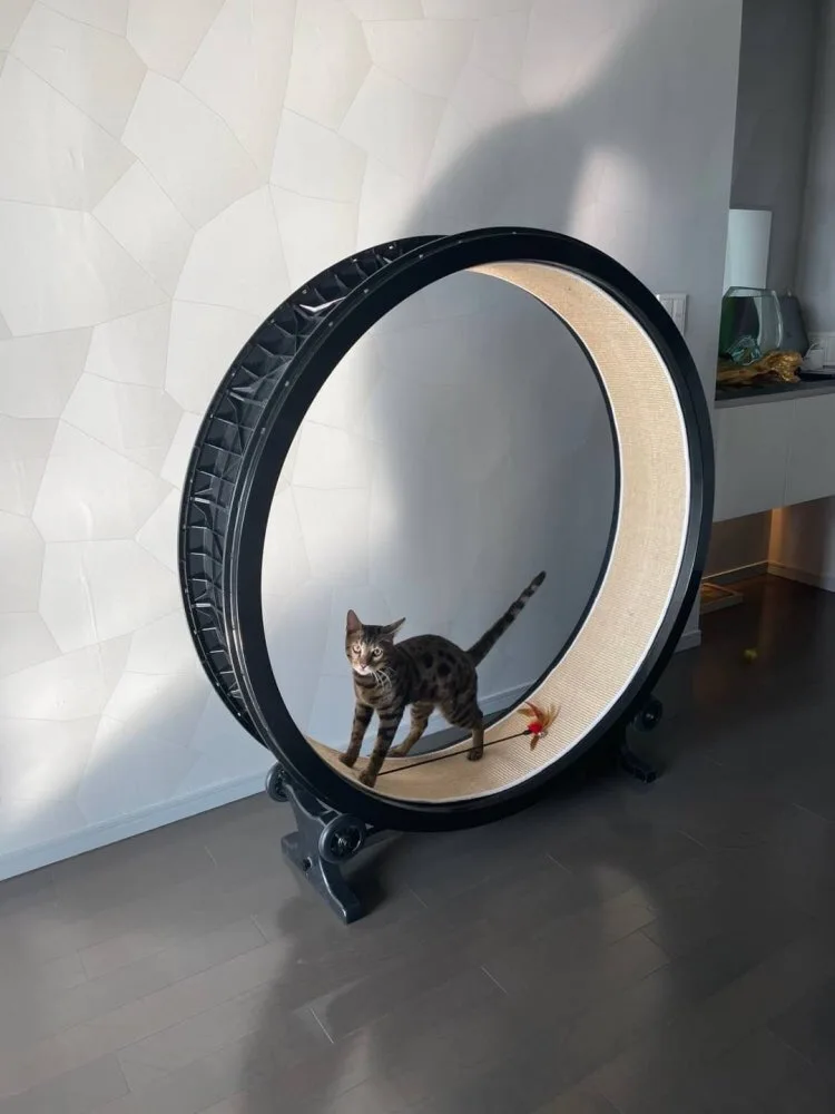 Беговая дорожка для кошек высококлассное спортивное оборудование USB лазерная