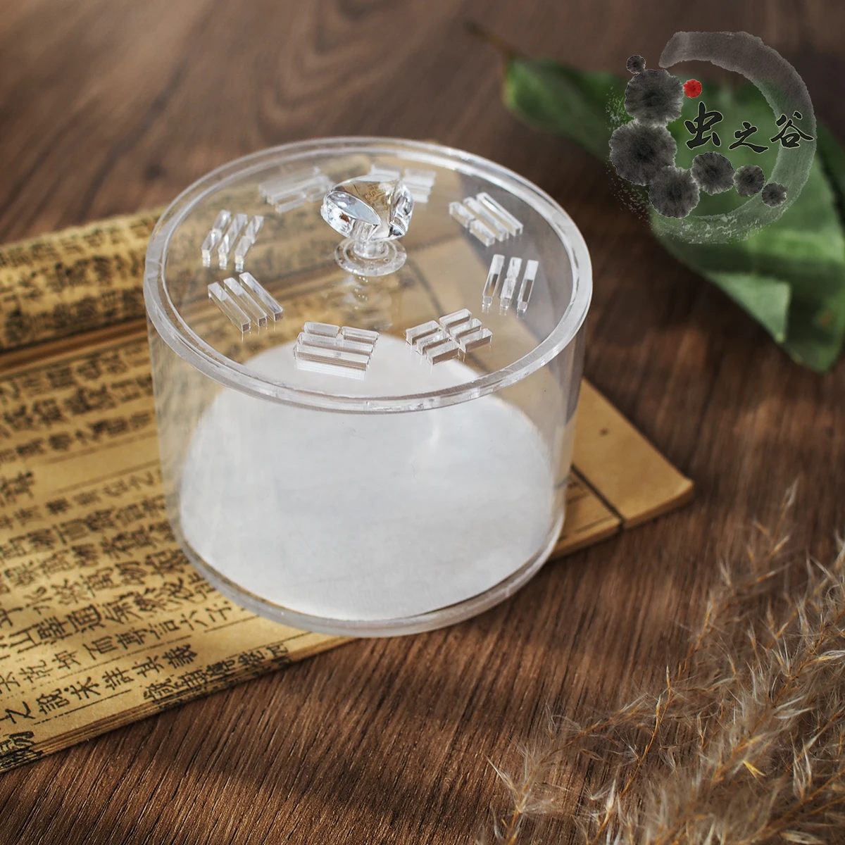 

Children Transparency Insect Breeding Box Collection Colonies Acrylic Box Spider Terrarium Boite Insecte Insect Terrarium