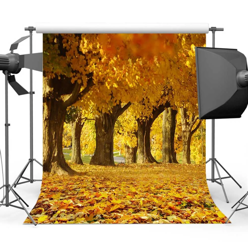 Фотофон Mehofoto осенний пейзаж для фотосъемки кленовый лист студии под заказ|Фон