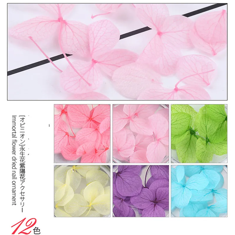 6 видов цветов сухие ногти цветок Стикеры реальные DryFlower синий/розовый/фиолетовый