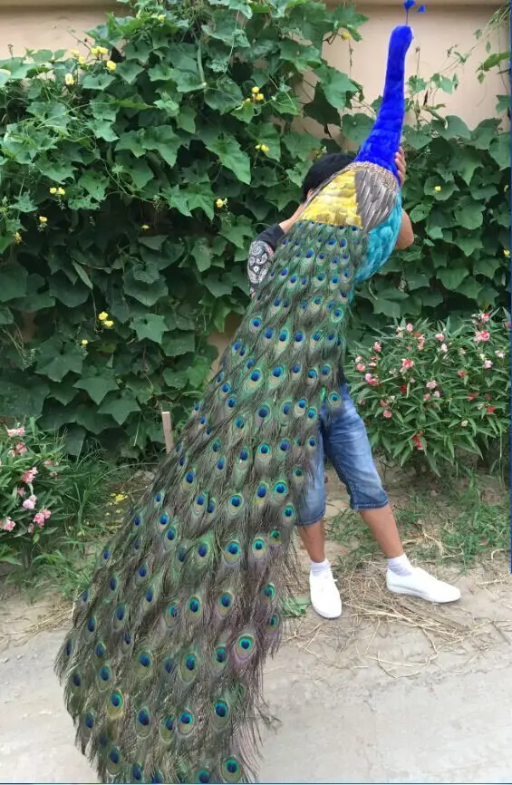 

large colourful peacock model foam&feather large real life beautiful peacock bird gift about 180cm d0005