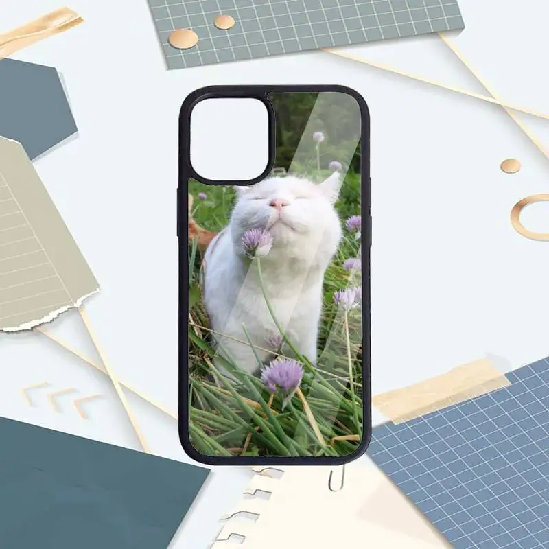 

CAT funny cute animal Phone Case PC for iPhone 11 12 pro XS MAX 8 7 6 6S Plus X 5S SE 2020 XR Luxury brand shell funda