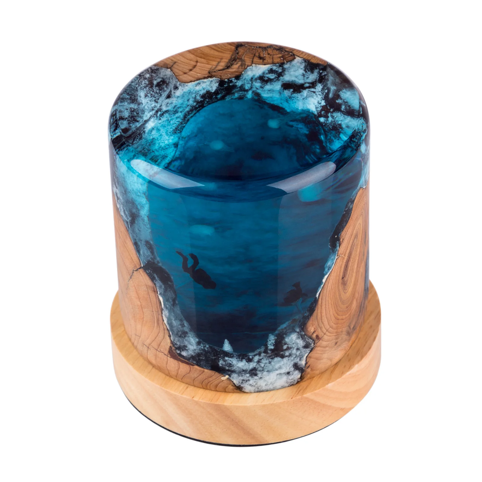 

10x12x12 см ручная работа для дайвинга, изучения ночного освещения, поделки из смолы с светильник нными светящимися искусственными элементами, ...