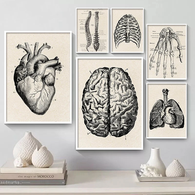 

Vintage Human Anatomy Poster Artwork Medical Wall Picture Muscle Skeleton Canvas Print Painting For Hospital Clinic Decor