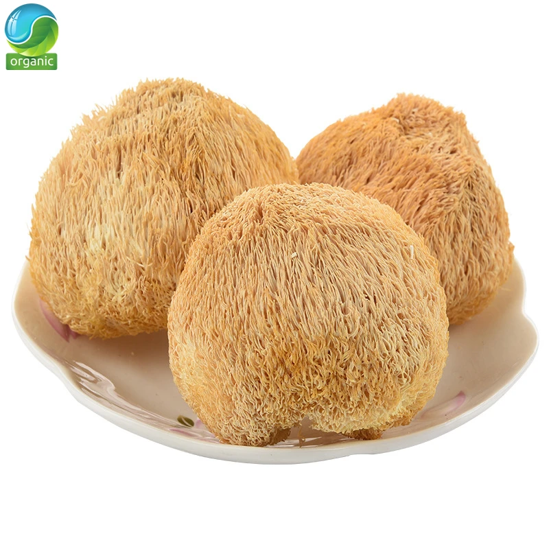 

Organic Dried Hericium Erinaceus,Lion's Mane Bearded Tooth Mushrooms Hericium,Lions Mane Hericium Erinaceus Mushroom Powder