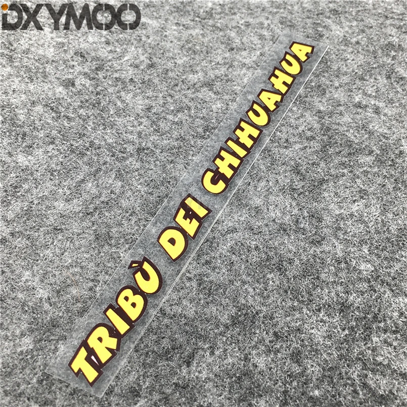 Стайлинг автомобиля искусственный козырек объектива даст вам крылья