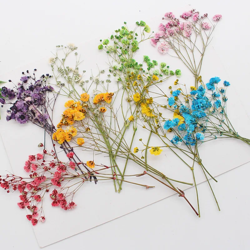 Натуральные сушеные цветы тиснение Botany образец Diy клей ручной оболочки Ароматерапия Свеча фоторамка активность материал наука - Цвет: Mixing of Da Man