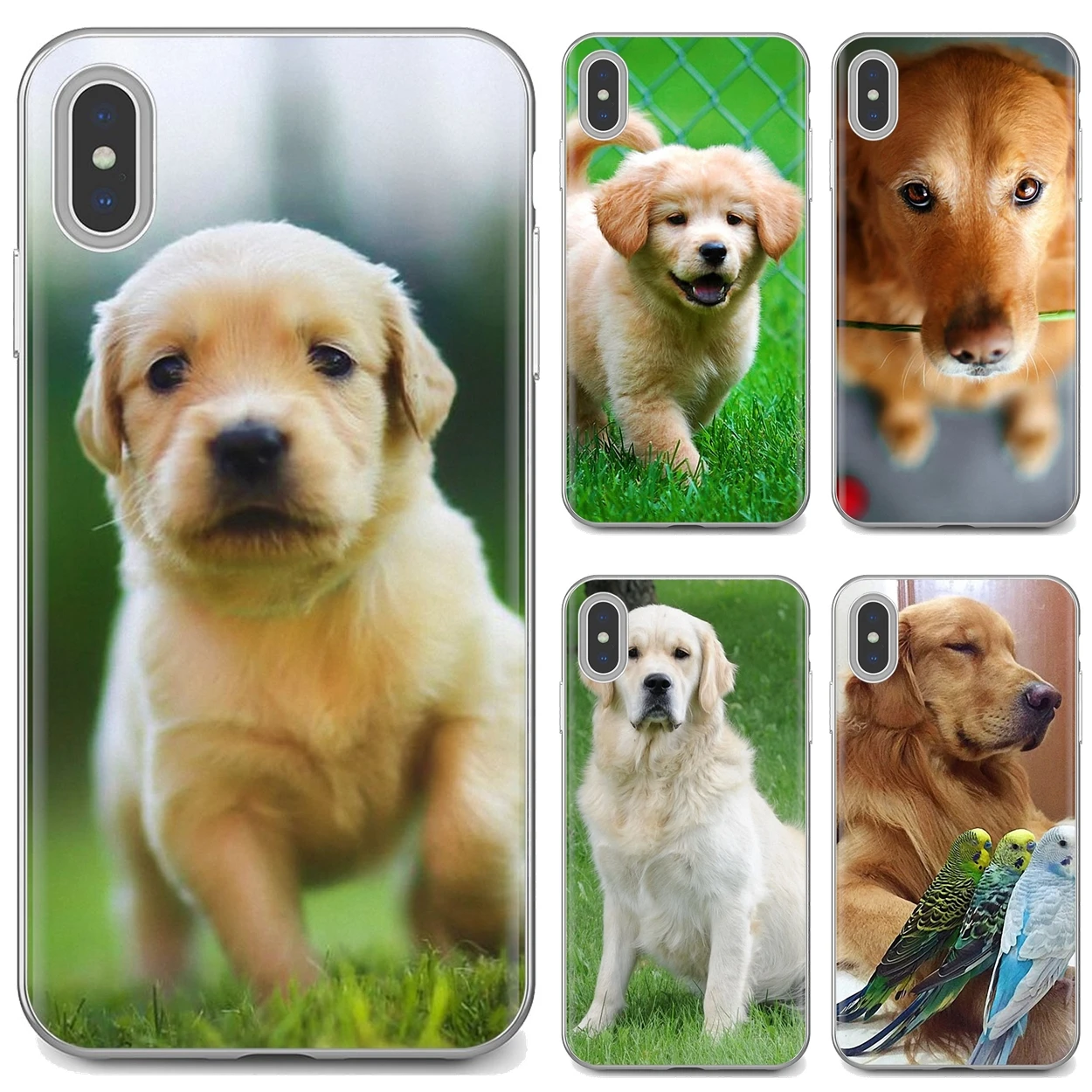 

Animals Golden Retriever Dog Pet Soft Case Covers For iPhone iPod Touch 11 12 Pro 4 4S 5 5S SE 5C 6 6S 7 8 X XR XS Plus Max 2020