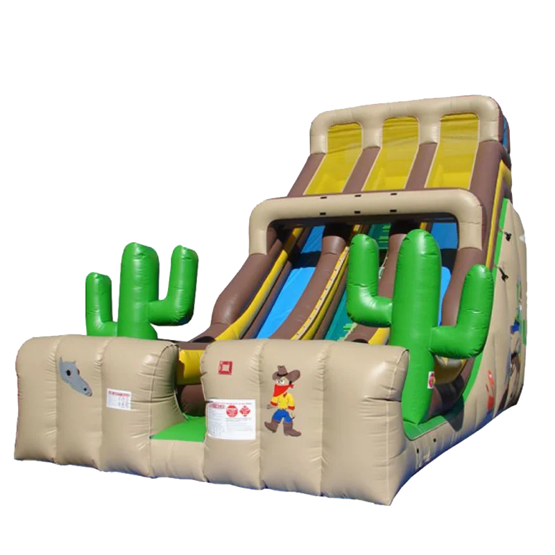

Outdoor Large Inflatable Slide Attractive Cartoon Cactus with Double Lanes