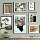 Животные в джунглях фото Тигр обезьяна панда попугай настенная Картина на холсте скандинавские плакаты и принты настенные картины декор для детской комнаты
