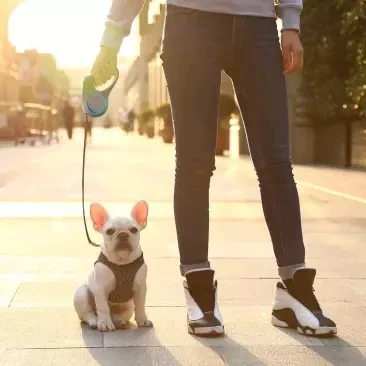 Xiaomi Mijia Youpin PetKit стример Выдвижная Тяговая веревка белая сенсорная работа