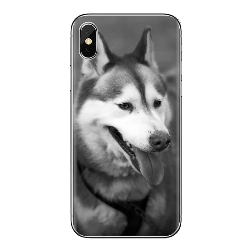 Прозрачные мягкие чехлы милые игрушечная Лайка собака для Samsung Galaxy A3 A5 A7 A9 A8