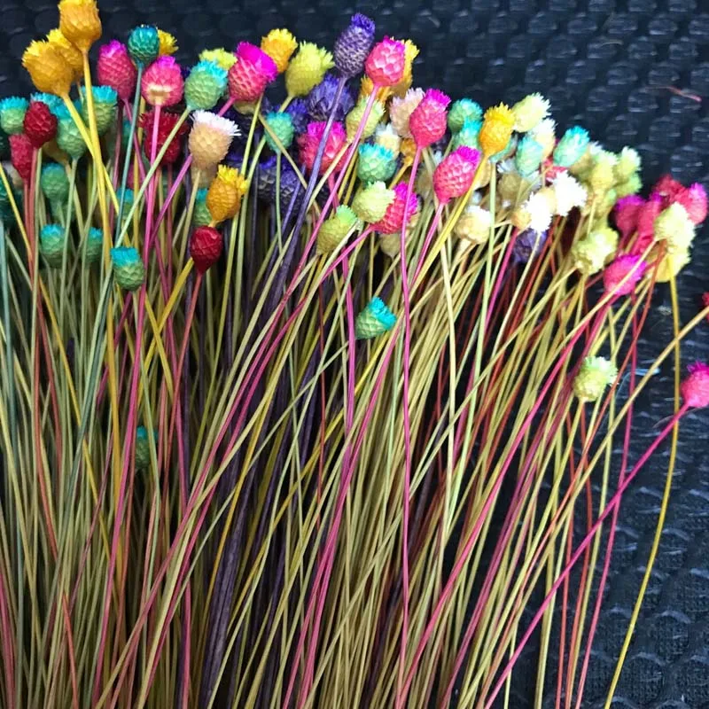

200PCS/~ 0.3CM Head,Real Dried Natural Mini Brazilian Pleasure Flower Branch,Miniature Dry Happy Flower Bouquet For Home Decor