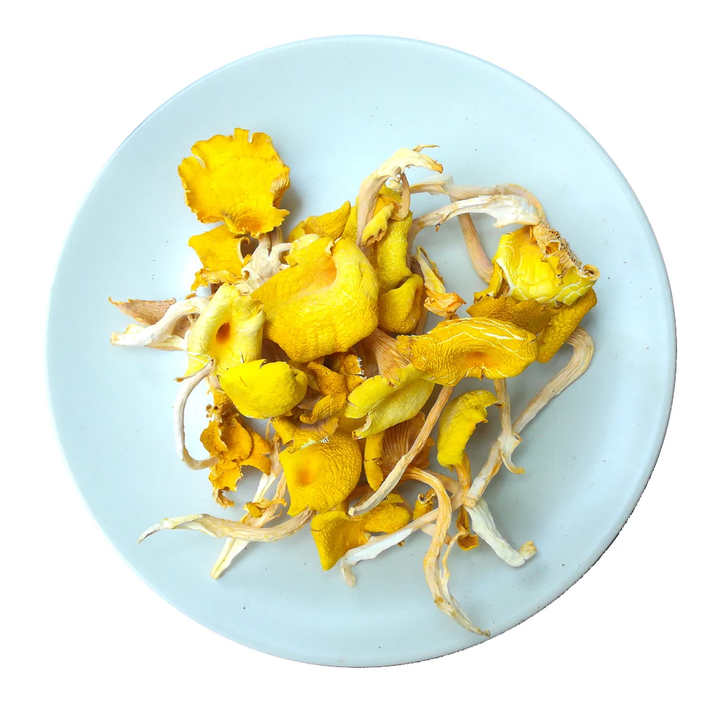 

Chanterelle Mushrooms Dried Wild Yellow Harvest Cantharellus Mushroom