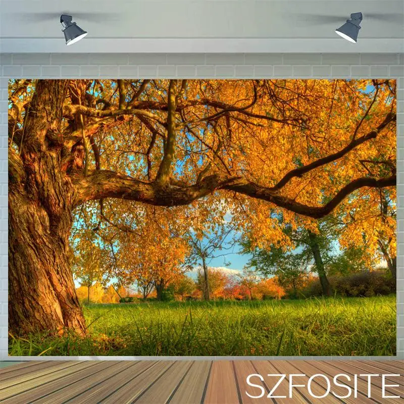 

Autumn Tree Deciduous Grass Photography Backdrop Family Room Decoration Photo Landscape Picture Children Party Vinyl Background