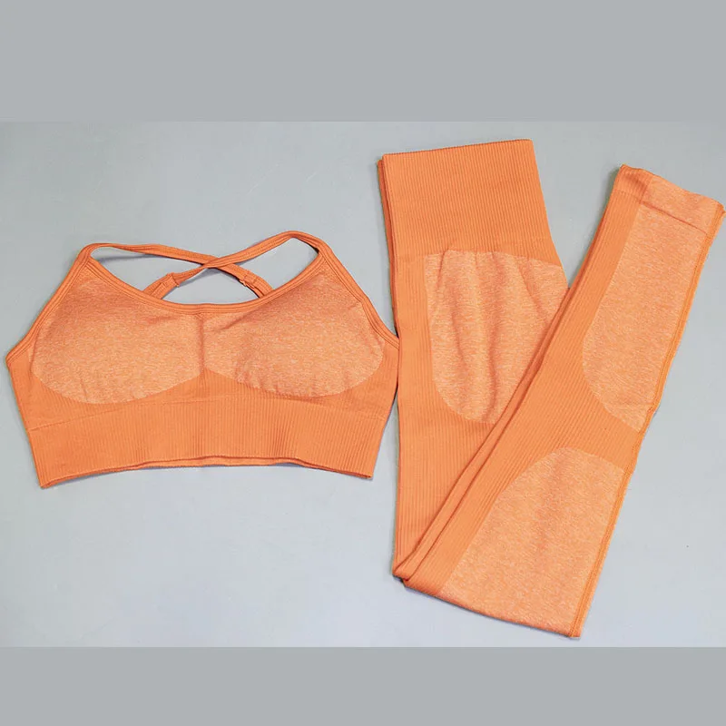 

2 Piece Set Workout Clothes for Women Sports Bra and Leggings Set Sports Wear for Women Gym Clothing Athletic Yoga Set
